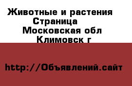  Животные и растения - Страница 34 . Московская обл.,Климовск г.